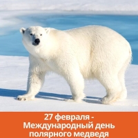 Международный день белого медведя.